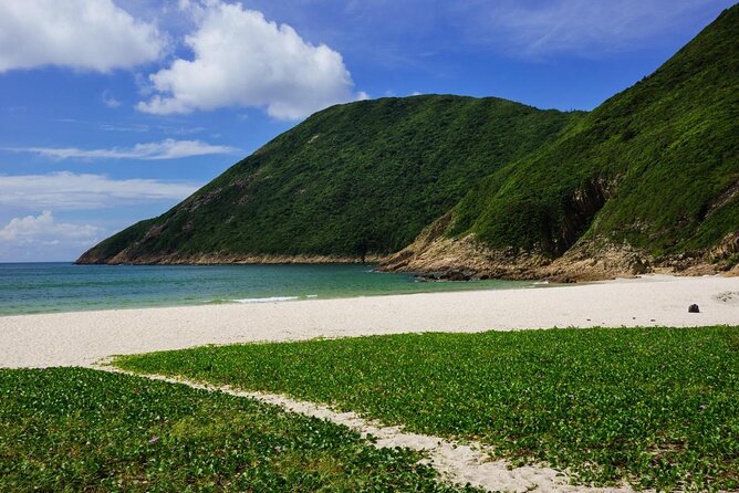 Afternoon Hiking Tour Sharp Island Geopark - Transportation Details