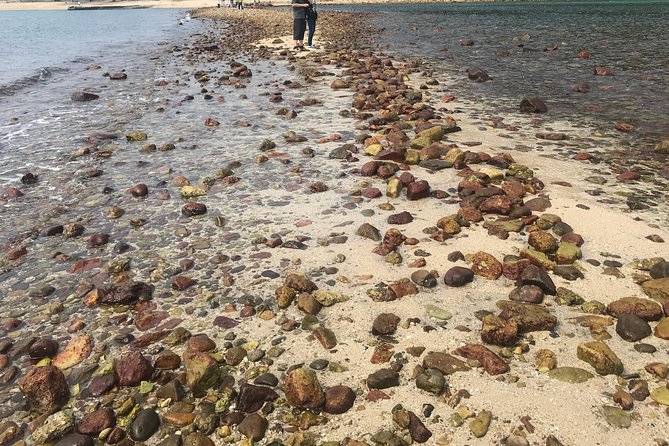 Afternoon Hiking Tour Sharp Island Geopark - Guide Expertise