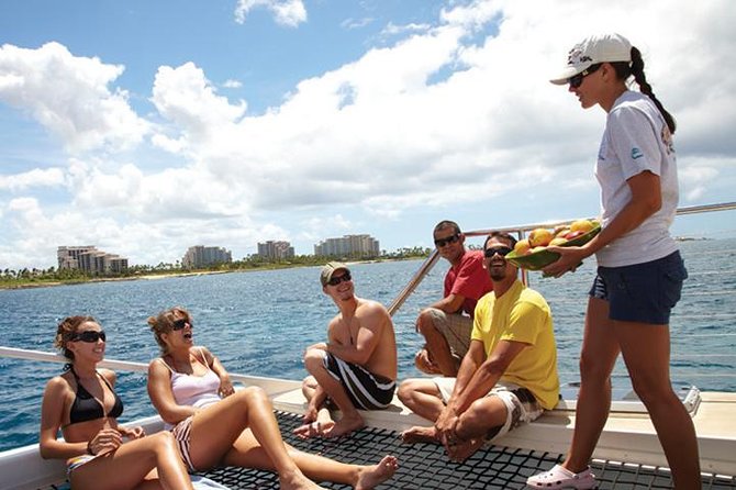 Afternoon Honu Hawaiian Green Sea and Dolphin Snorkel and Sail - Reviews