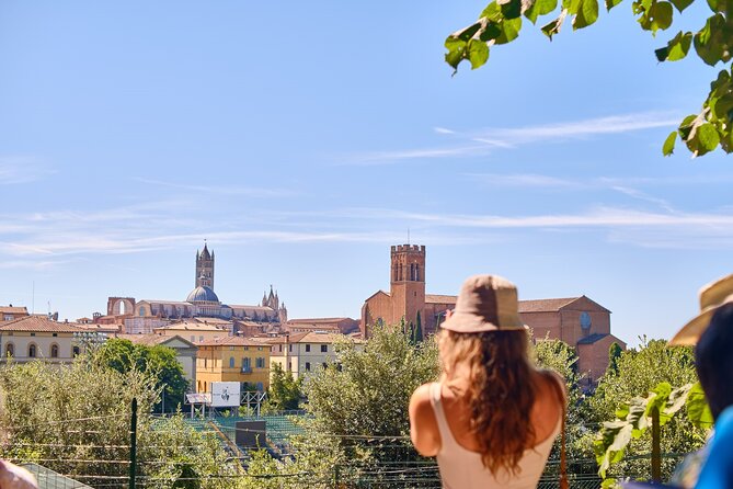 Afternoon in Siena and Chianti Wine Tour With Dinner From Florence - Tour Details