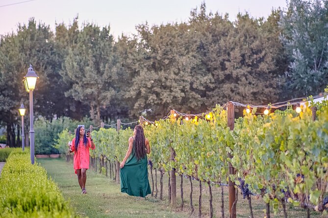 Afternoon in Siena and Chianti Wine Tour With Dinner From Florence - Positive Comments