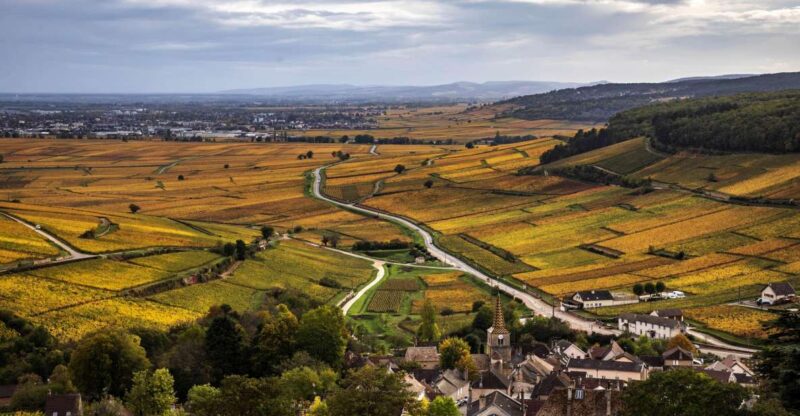 Afternoon in the Côte De Nuits, Small Group - Vineyards Explored