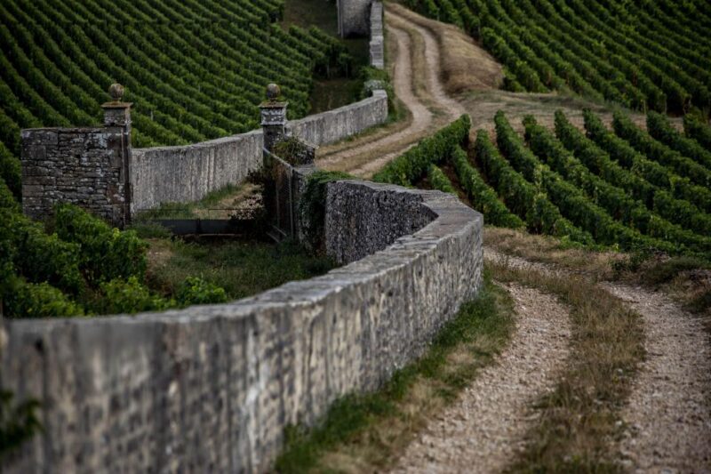 Afternoon in the Côte De Nuits, Small Group - Departure and Return