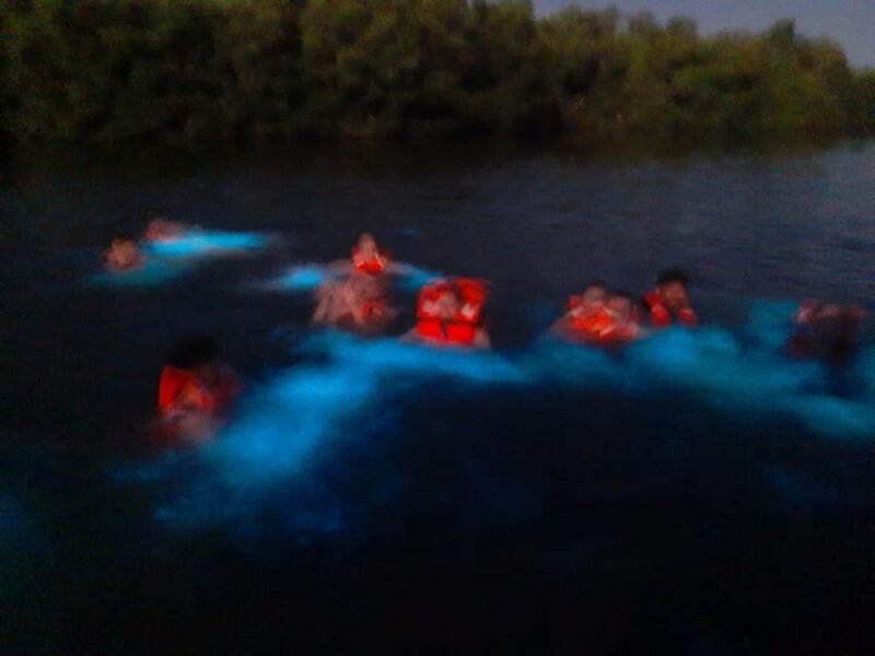 Afternoon Journey in Manialtepec and Bioluminiscence. - Inclusions