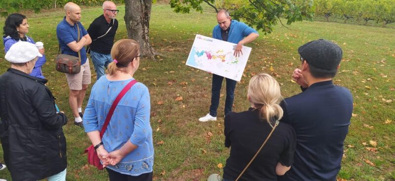 Afternoon - Loire Valley Wine Tour From Tours or Amboise - Customer Feedback and Meeting Point