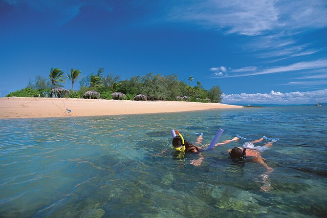 Afternoon Low Isles Snorkelling & Sunset Sail From Port Douglas - Group Size Limit