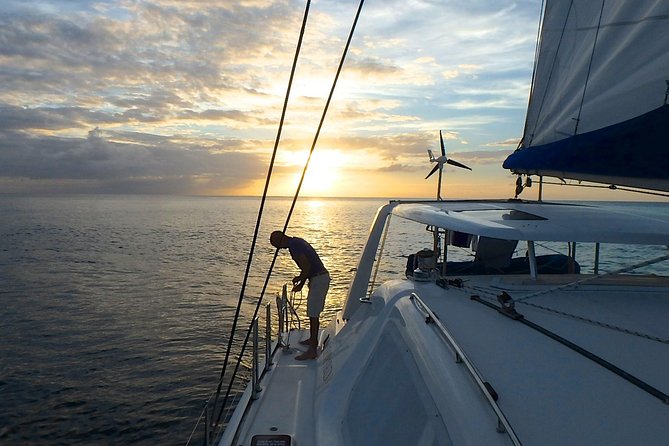Afternoon Luxury Catamaran Sailing and Charter Cruise From Bridgetown - Additional Information