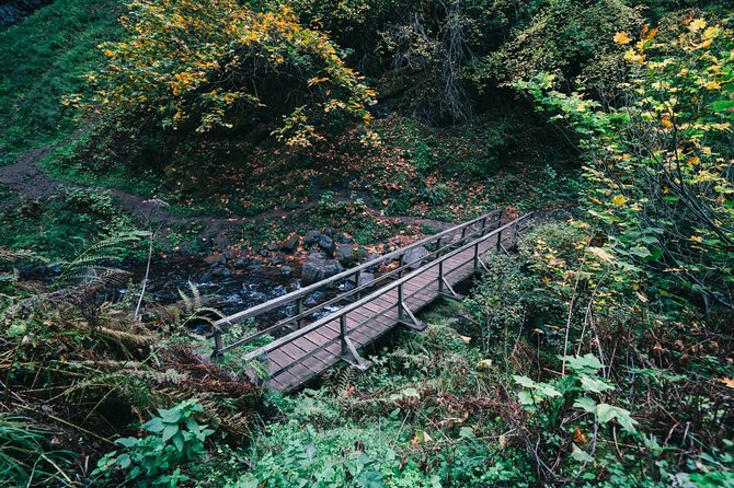 Afternoon Multnomah Falls and Gorge Waterfalls Tour - Tour Overview
