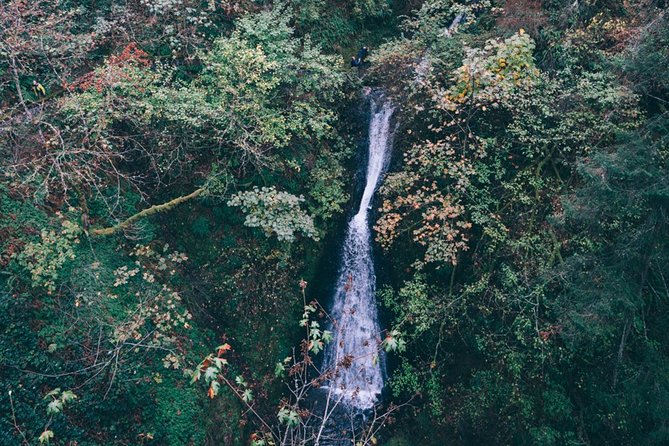 Afternoon Multnomah Falls and Gorge Waterfalls Tour - Tour Details