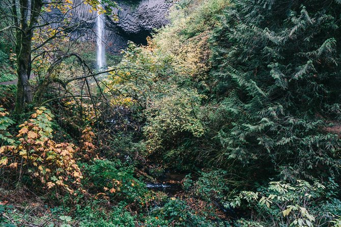 Afternoon Multnomah Falls and Gorge Waterfalls Tour - Pricing and Reviews