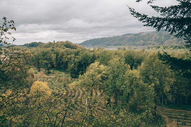 Afternoon Multnomah Falls and Gorge Waterfalls Tour - Popular Attractions