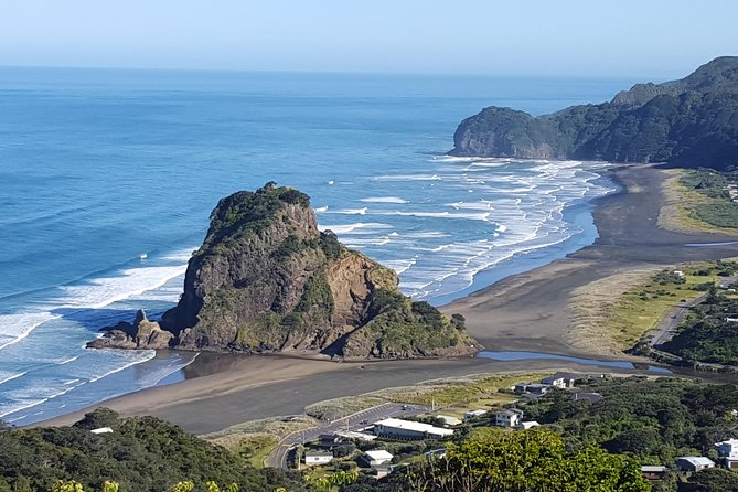 Afternoon Piha Beach and Rainforest Tour From Auckland - Key Points
