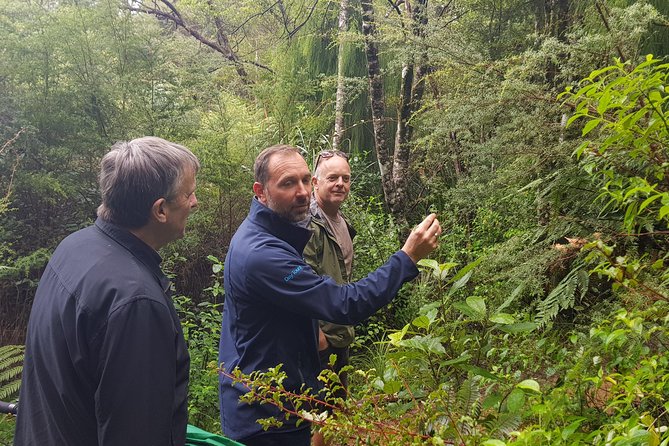 Afternoon Piha Beach and Rainforest Tour From Auckland - Meeting and Pickup Details