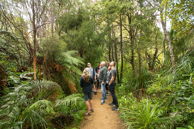 Afternoon Piha Beach and Rainforest Tour From Auckland - Ratings, Reviews, and Recommendations