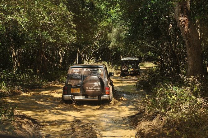 Afternoon Safari to Wilpattu National Park - Key Points