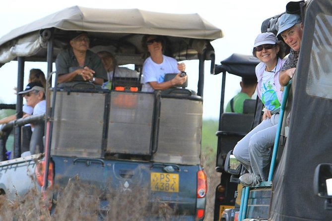 Afternoon Safari to Wilpattu National Park - Pickup and Drop-off