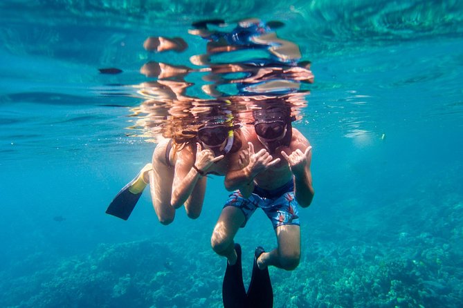 Afternoon Sail & Snorkel to the Captain Cook Monument - Highlights From Guest Reviews
