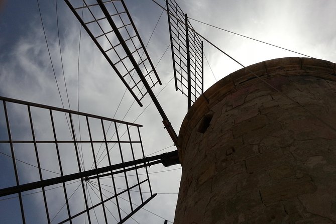 Afternoon Saline Tour - Highlights of the Experience