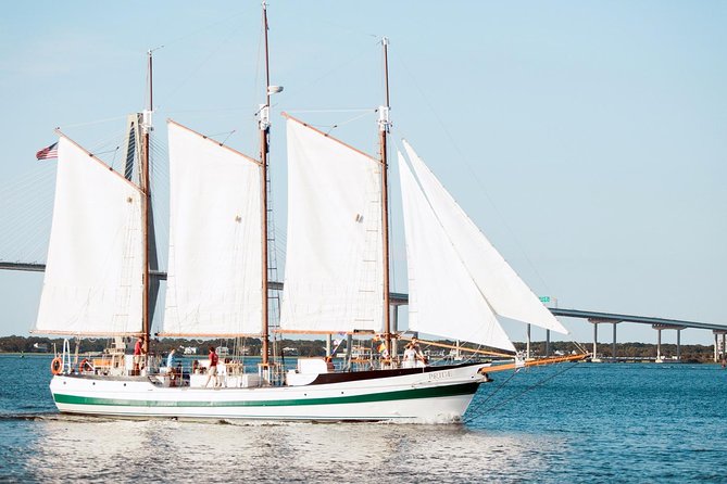 Afternoon Schooner Sightseeing Dolphin Cruise on Charleston Harbor - On-Board Experience