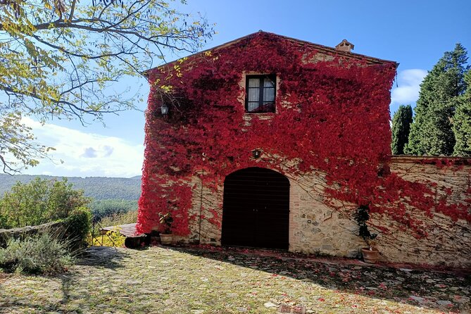 Afternoon Semi Private Chianti Tour From Siena - Discover Chianti Region and Monteriggioni