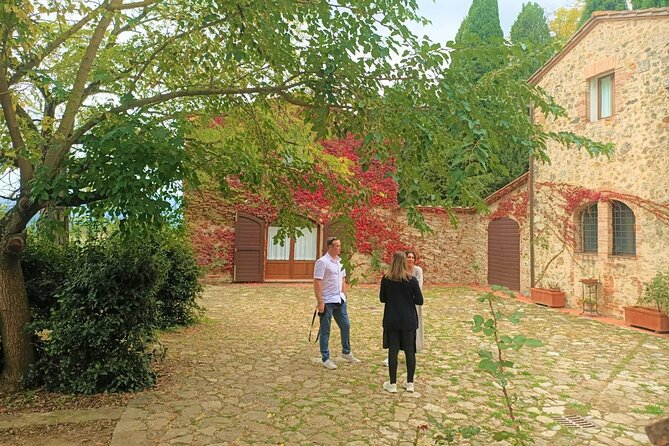 Afternoon Semi Private Chianti Tour From Siena - Wine Tasting and Cellar Tour