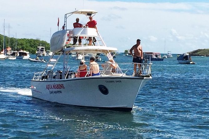 Afternoon Snorkeling Adventure in St Thomas - Inclusions