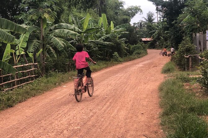 Afternoon Tour by Tuk Tuk to Bamboo Train,Bat Cave,Killing Cave,Countryside. - Group Size and Exclusions