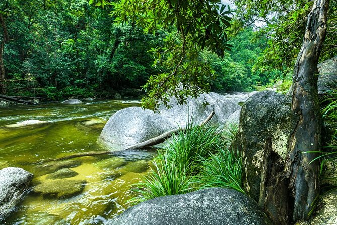 Afternoon Tour Mossman Gorge & Daintree River From Port Douglas - Meeting and Pickup