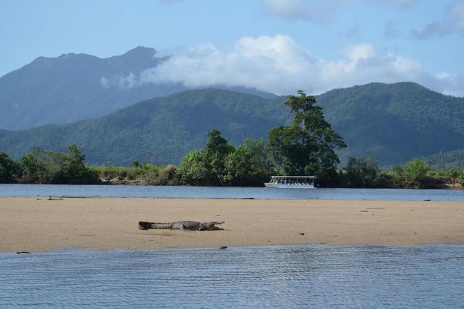 Afternoon Tour Mossman Gorge & Daintree River From Port Douglas - Small-Group Experience