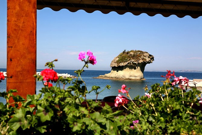 Afternoon Tour of the Island of Ischia by Bus - Health and Safety Measures