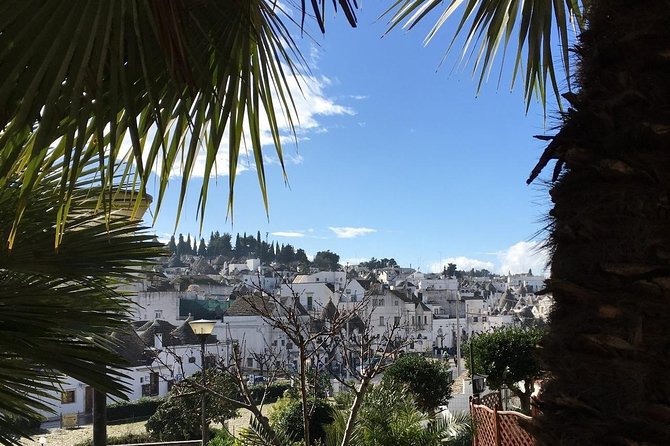Afternoon Tour Secrets of Alberobello Incl. Food & Wine Tasting - Reviews and Ratings