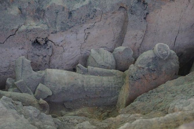 Afternoon Tour to Terracotta Warriors Museum - Museum Highlights