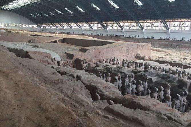 Afternoon Tour to Terracotta Warriors Museum - Pickup and Accessibility