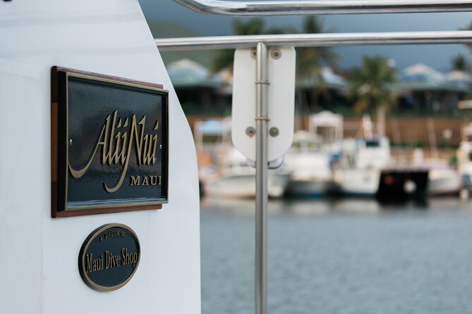 Afternoon Turtle Snorkel Sail From Maui - Safety and Comfort Considerations