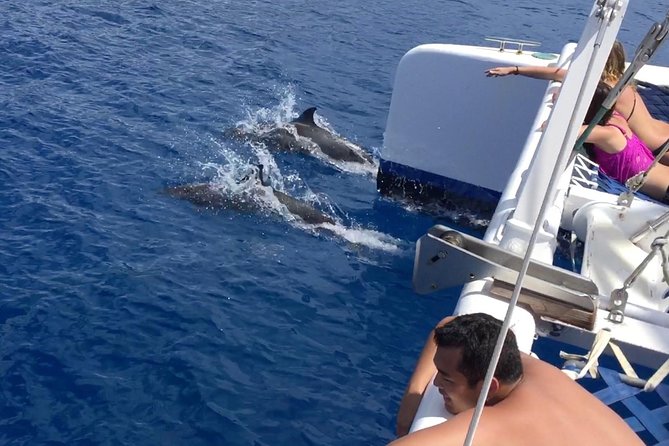 Afternoon West Maui Snorkel From Ka'Anapali Beach - Meeting Point and Logistics