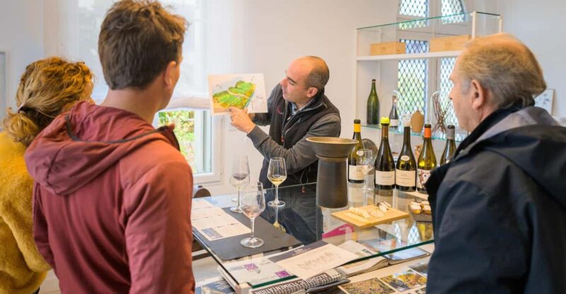 Afternoon- Wine Tour in Touraine From Tours or Amboise - Itinerary and Experience