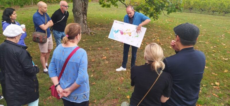 Afternoon- Wine Tour in Touraine From Tours or Amboise - Savor Local Delicacies