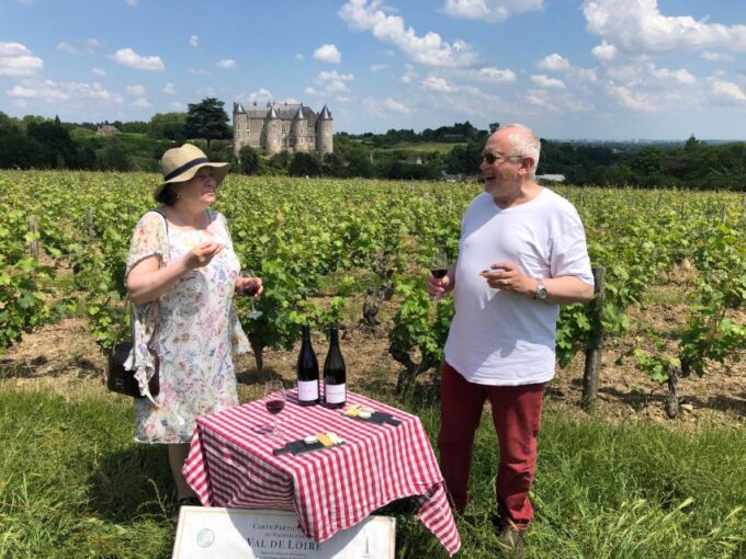 Afternoon- Wine Tour in Touraine From Tours or Amboise - Flexible Cancellation Policy