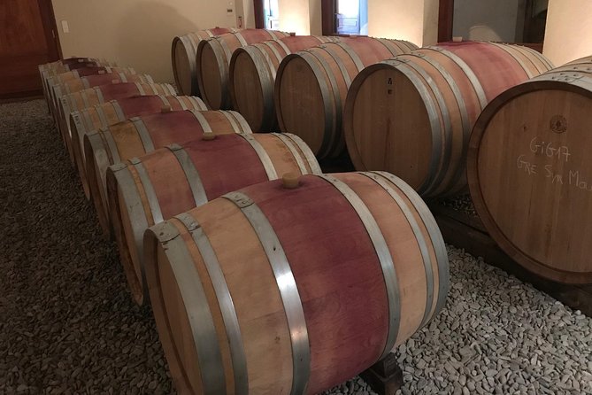 Afternoon Wine Tour to Chateauneuf Du Pape From Avignon - Exploring the Rhône Valley Vineyards