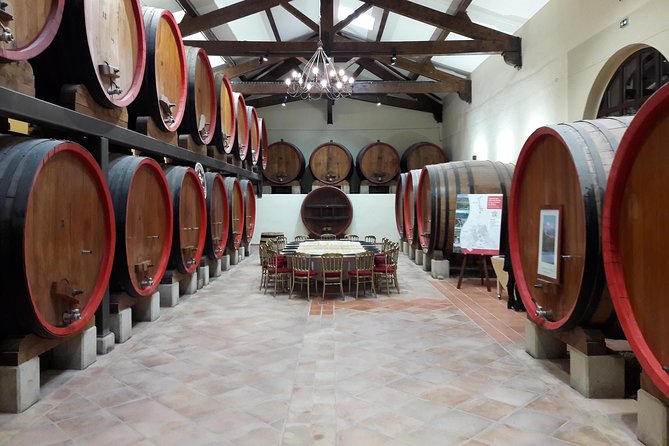 Afternoon Wine Tour to Chateauneuf Du Pape From Avignon - Panoramic Views From Chateauneuf-Du-Pape