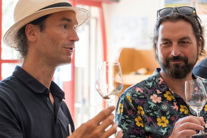 Afternoon Wine Tour to Chateauneuf Du Pape From Avignon - Tour Logistics and Details