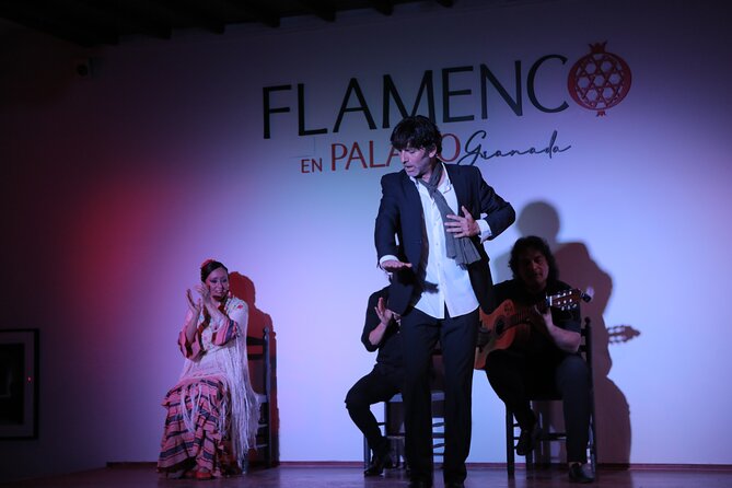 AG Flamenco City Tours - Key Points
