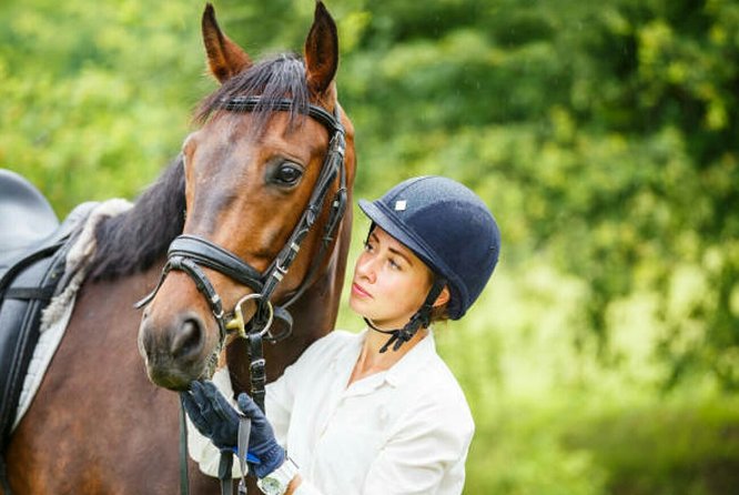 Agadir 2-Hour Private Horse Riding Experience With Pickup - Accessibility and Participation