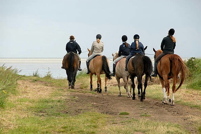 Agadir 2-Hour Private Horse Riding Experience With Pickup - Transportation and Refreshments