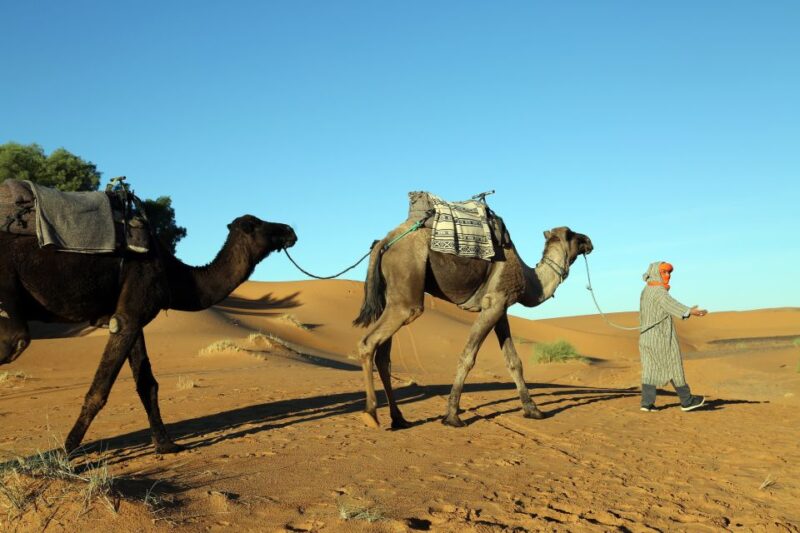Agadir: 4×4 Jeep Desert Safari With Lunch Tajin & Couscous - Participant Information