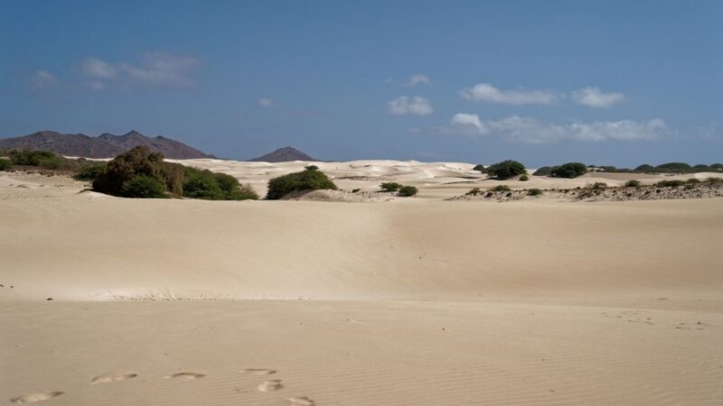 Agadir: 4×4 Jeep Desert Safari With Lunch Tajin & Couscous - Customer Feedback