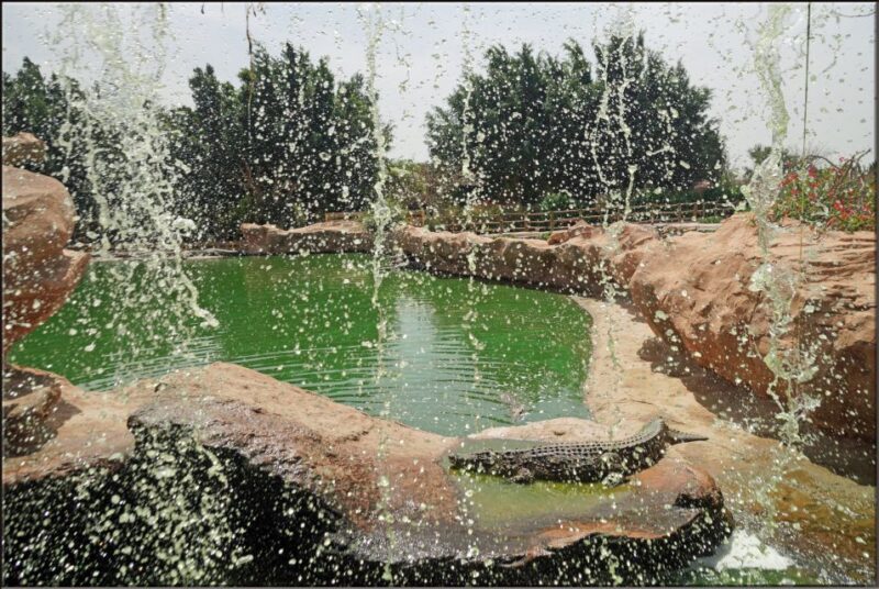 Agadir: Agadir Crocodile Park Adventure - Park Architecture and Environment