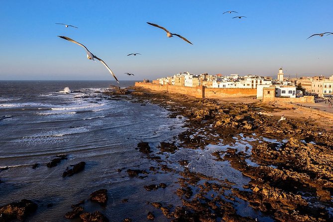 Agadir Airport Transfer to or From Agadir City - Additional Service Information