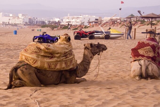 Agadir: Argan Oil Factory Tour - Frequently Asked Questions