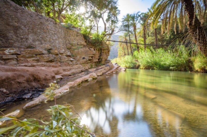 Agadir: Atlas Mountains Trip & Swimming in Paradise Valley - Honey Road of Immouzar